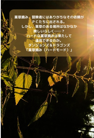 薬草摘み(ハードモード)