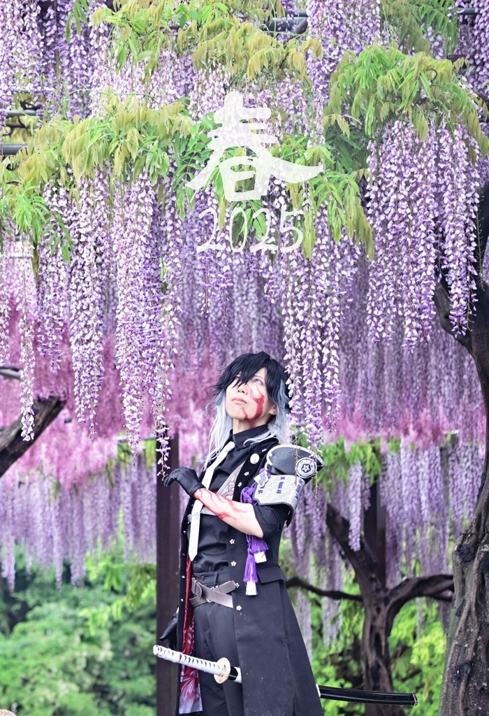 春 2025