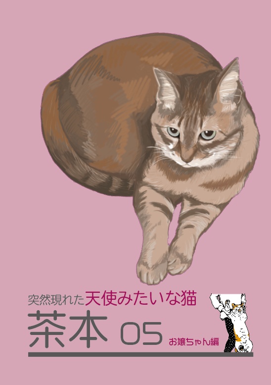 茶本05～お嬢ちゃん編～