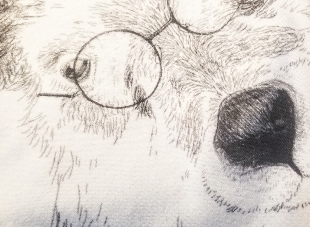 《カモシカ老紳士》