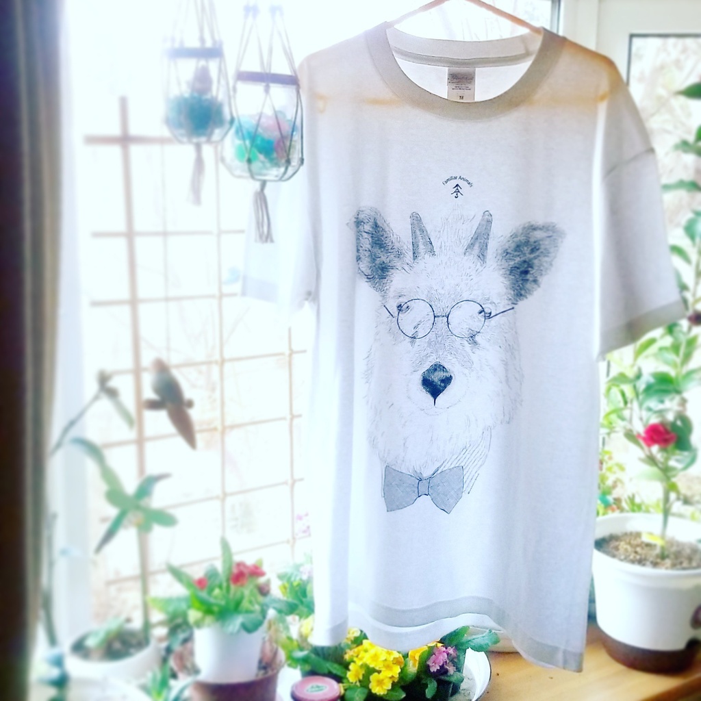 《カモシカ老紳士》