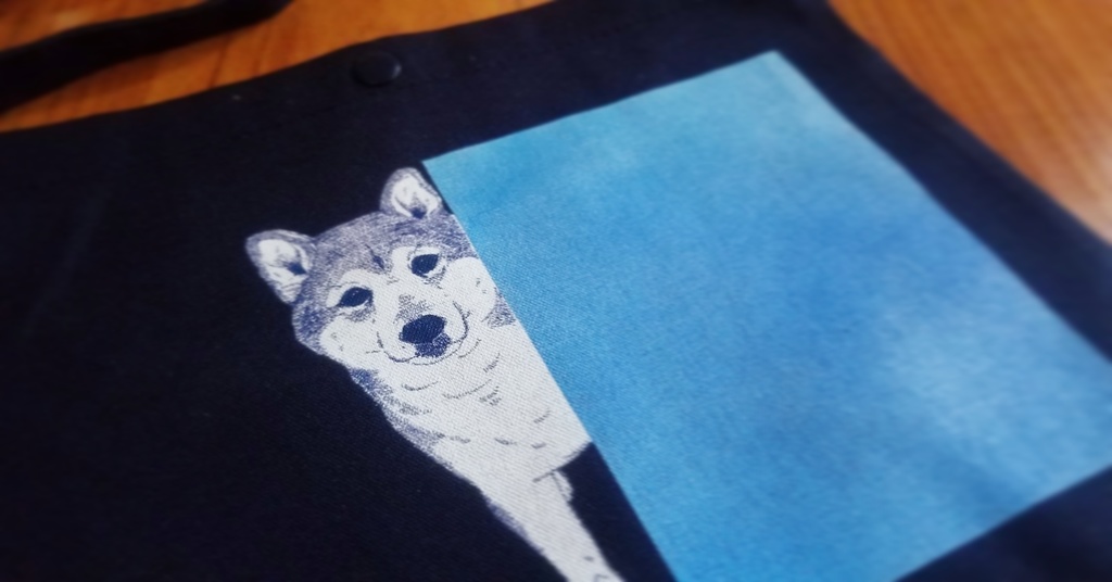 You called for me ?⦅サコッシュ⦆