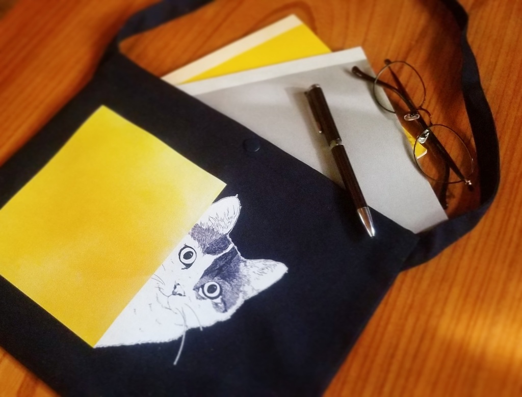 You called for me ?⦅サコッシュ⦆