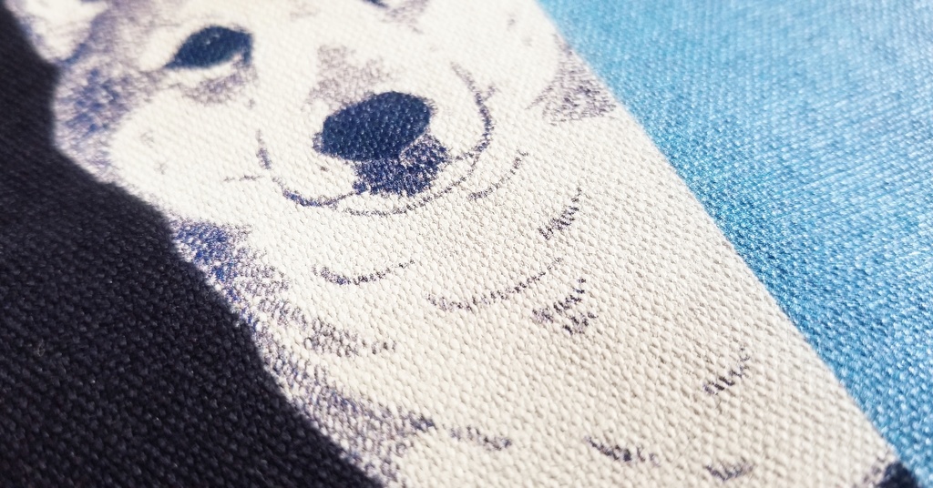 You called for me ?⦅サコッシュ⦆