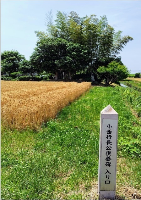 カタリナ永俊に関する一考察