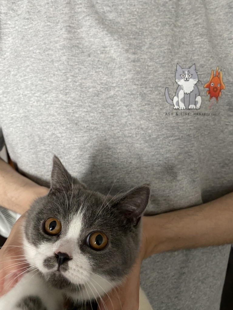 はなりすファミリーT【アッシュとシンク】