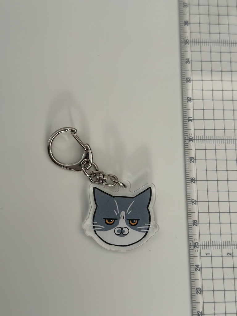 アッシュキーホルダー(顔)Ash Keychain (Face)