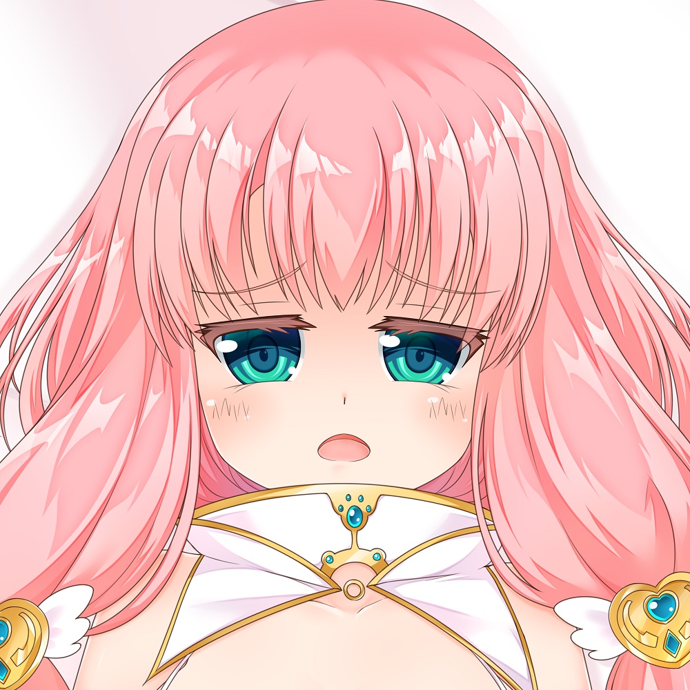 【予約注文 】セラフィナイト抱き枕カバー 【 予約終了】