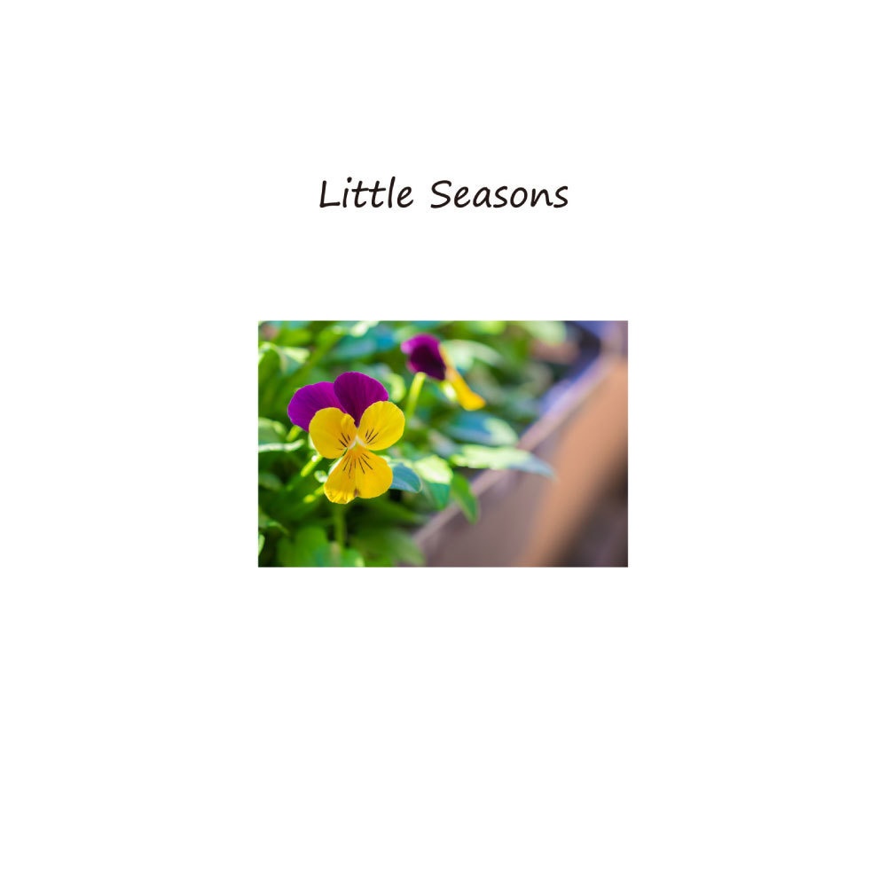 Little Seasons - A quiet collection of short essays ～ 小さなエッセイ集 ～