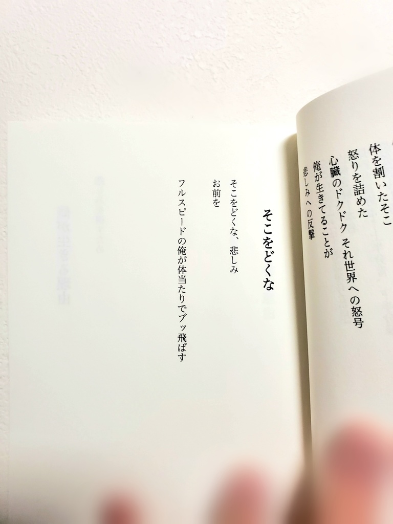 第一詩集 悲しみのヤローを倒す、ぜってえ負けねえ。