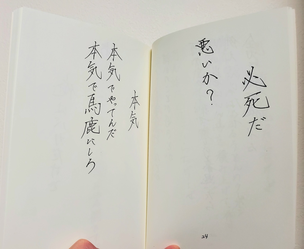 第二詩集 恥を晒しにきた、馬鹿にされにきた、悔しがりにきた、そして人生を変えにきた。