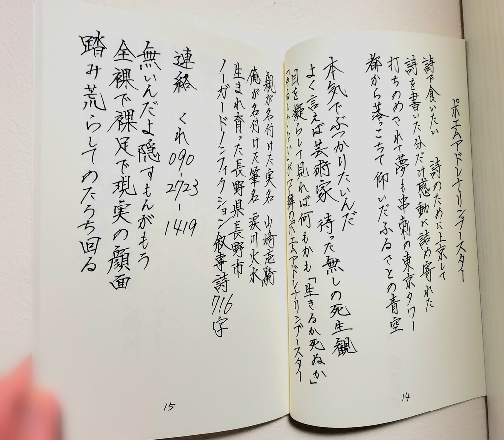 第二詩集 恥を晒しにきた、馬鹿にされにきた、悔しがりにきた、そして人生を変えにきた。