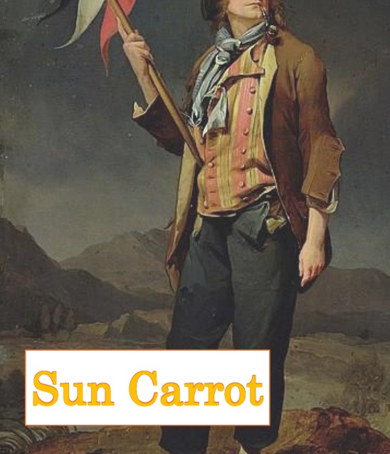 Sun Carrot