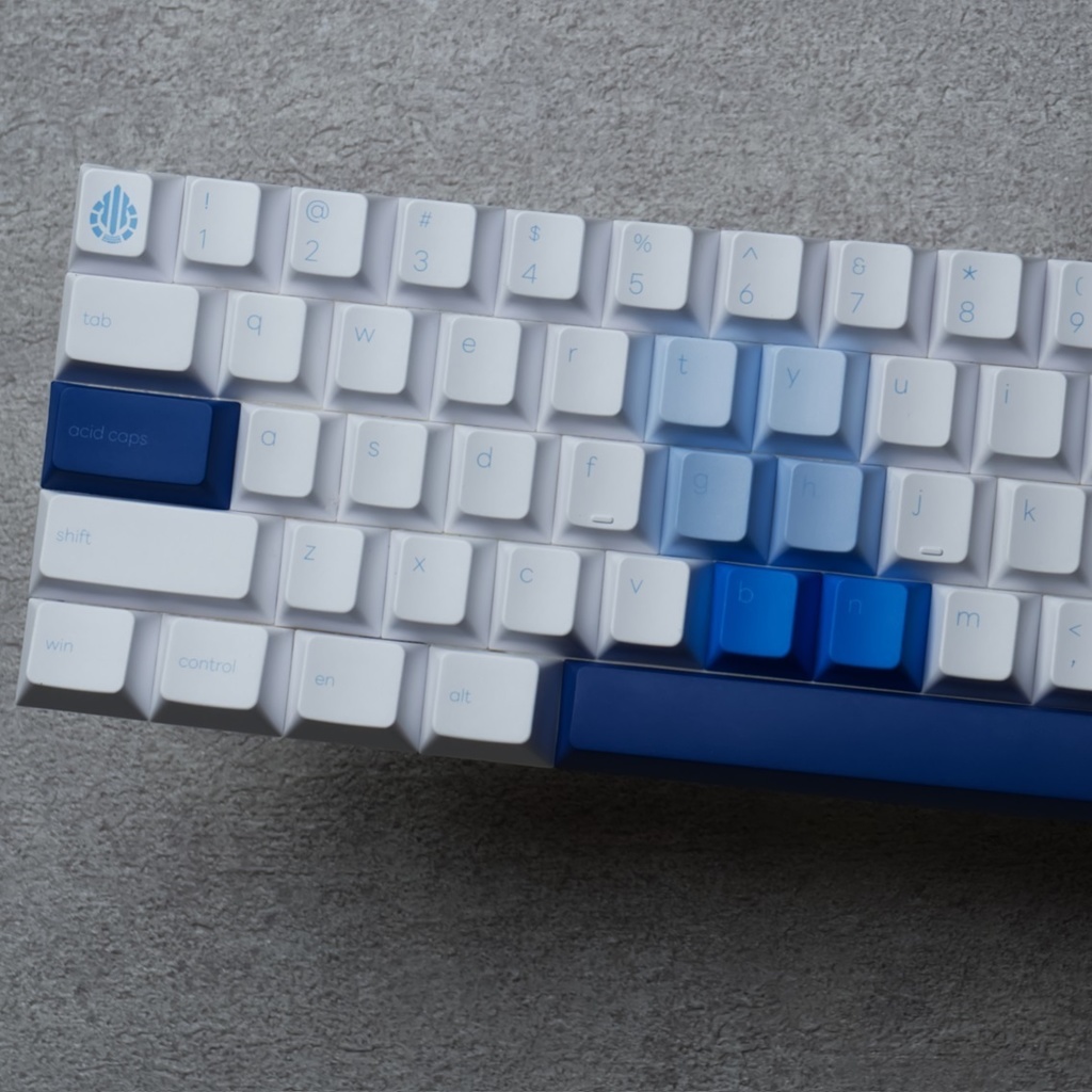 「Acid Caps “Premium”」Reflex Blue R2