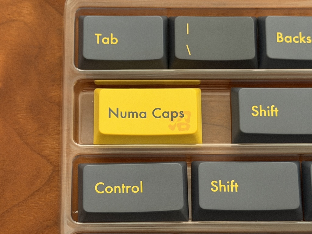 「Acid Caps “LowProfile”」Numa Black