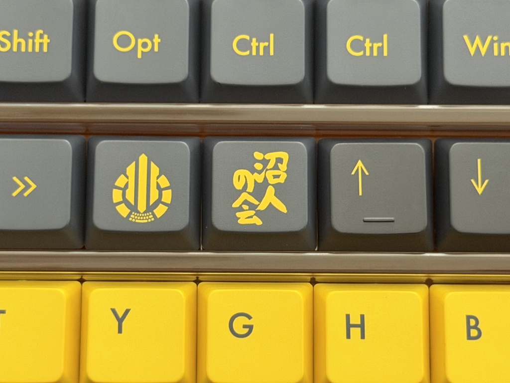 「Acid Caps “LowProfile”」Numa Black