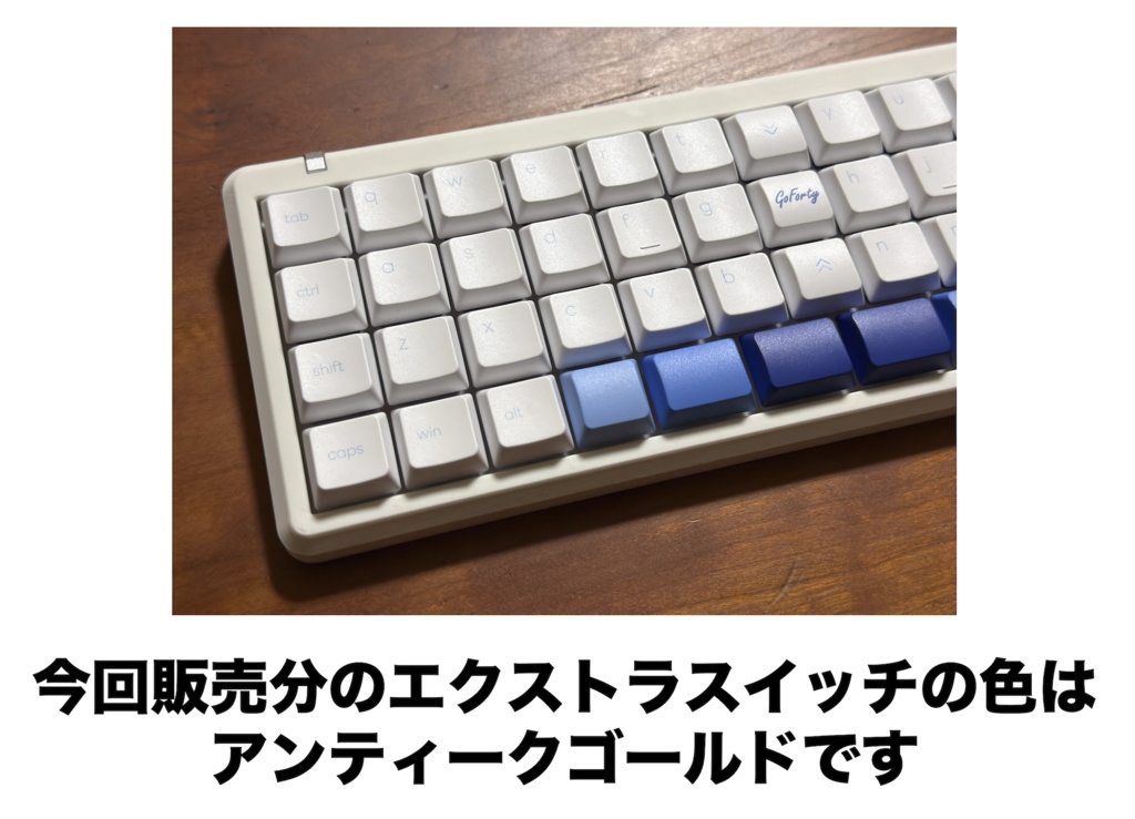 GoFortyMax Ortho(試験販売)