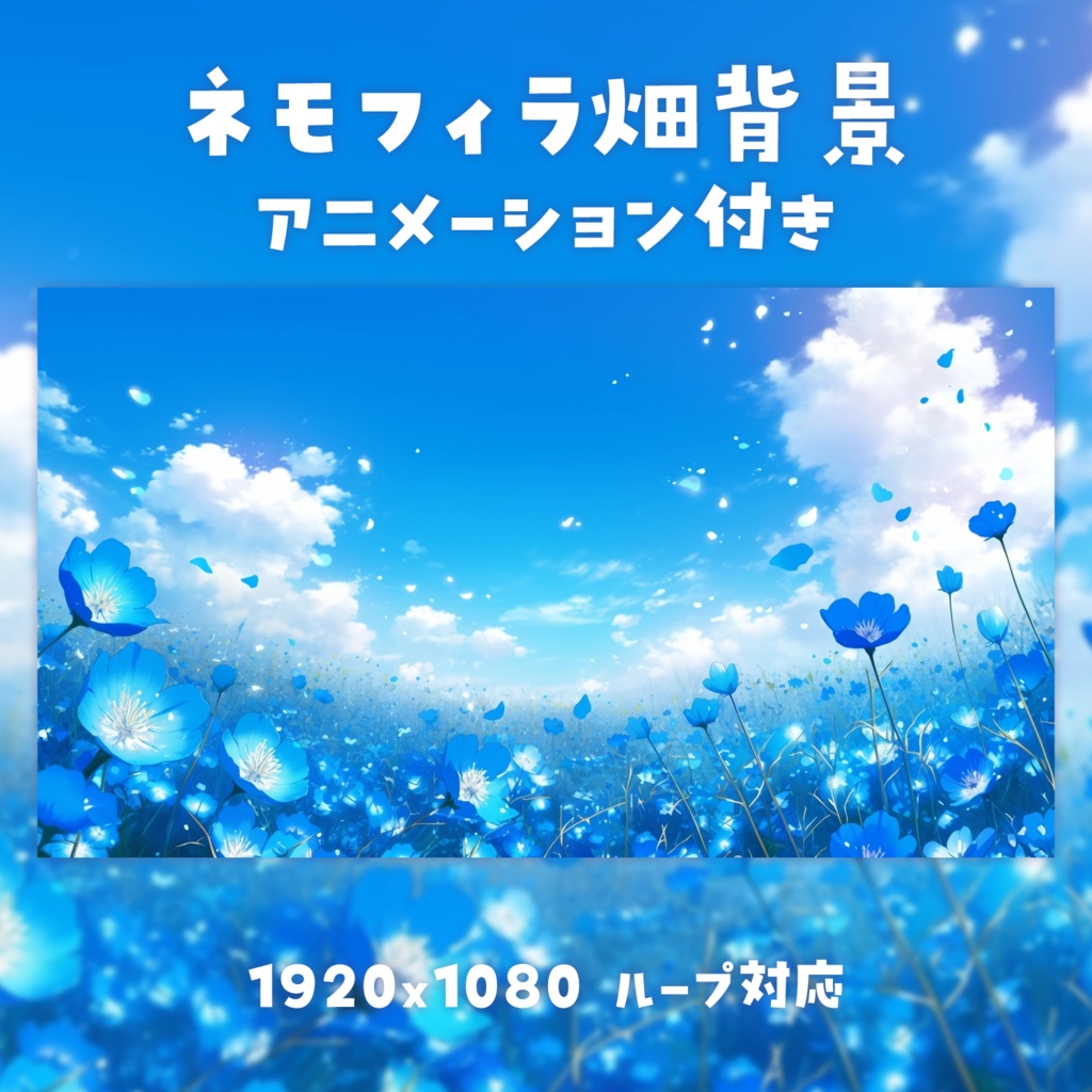 【動く背景素材】ネモフィラ畑背景