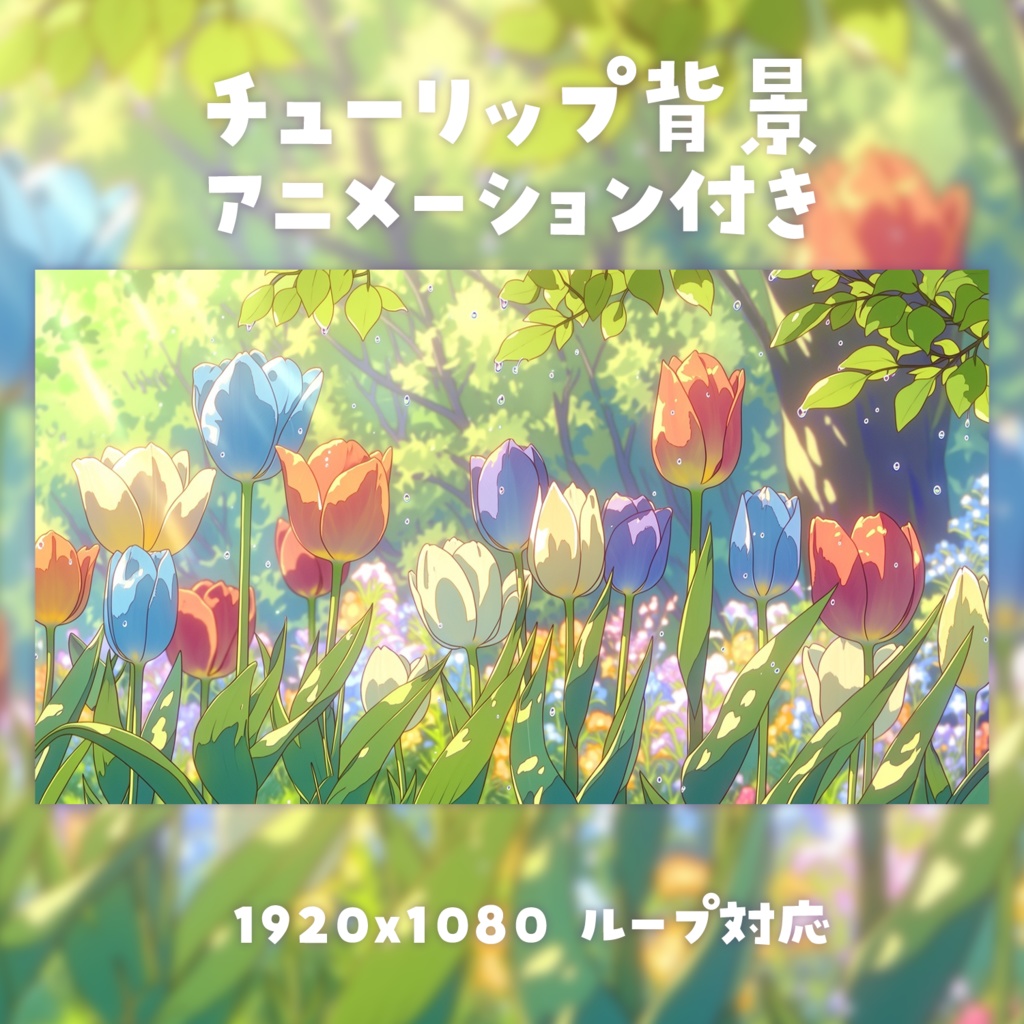 【動く背景素材】チューリップ背景