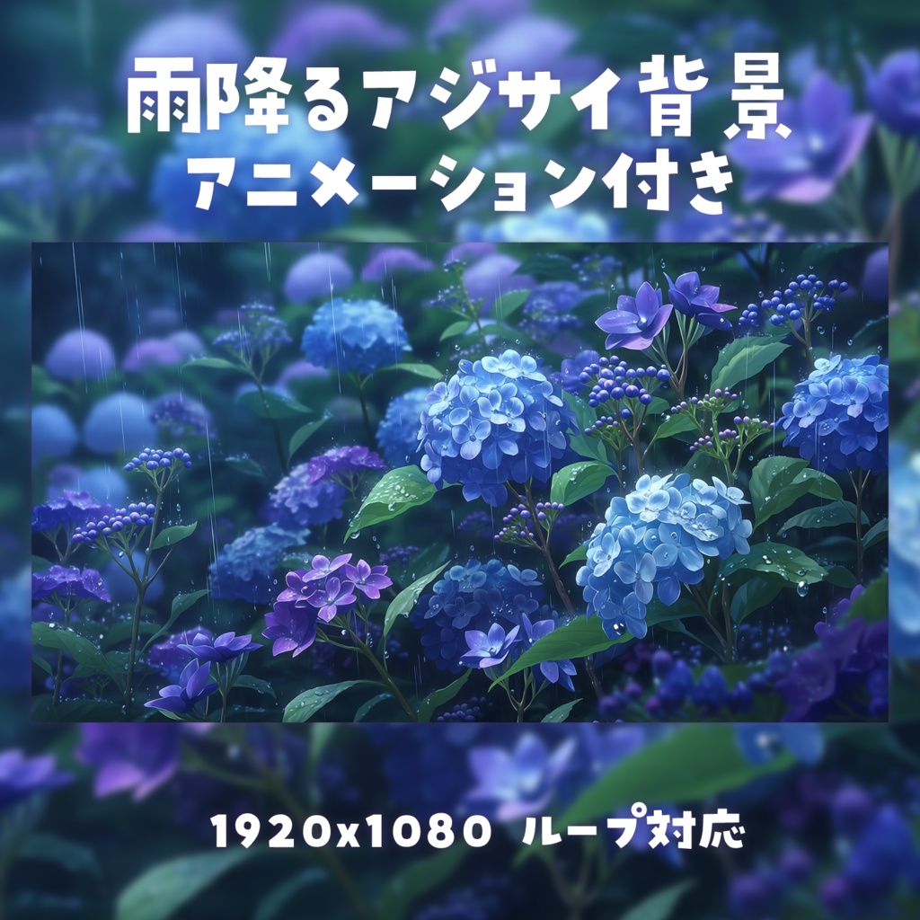 【動く背景素材】雨降るアジサイ背景