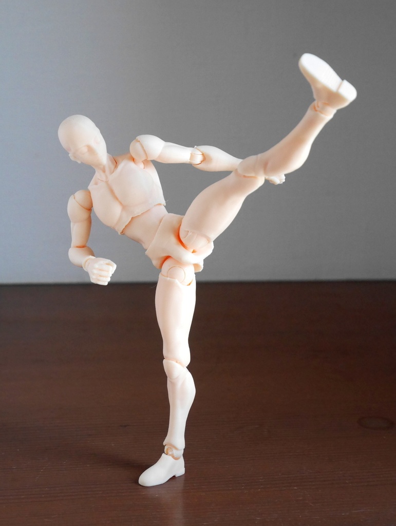 2021男性可動素体