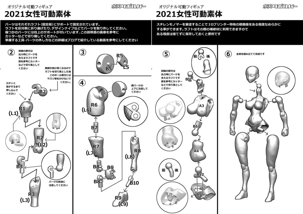 2021女性可動素体