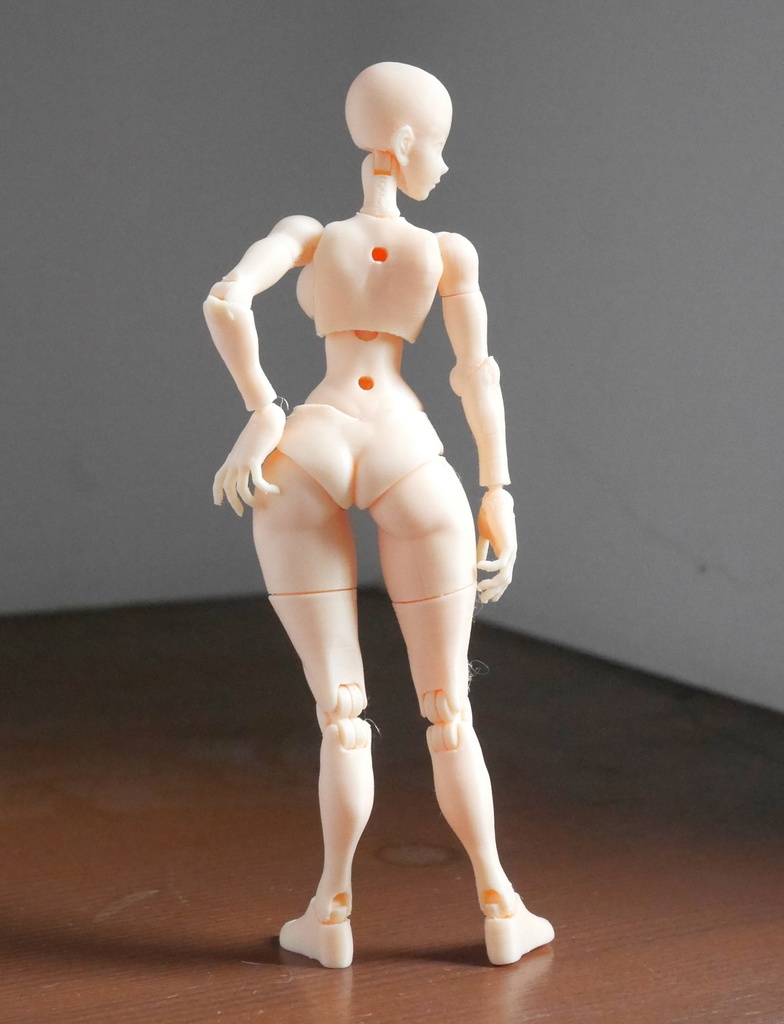 2021女性可動素体