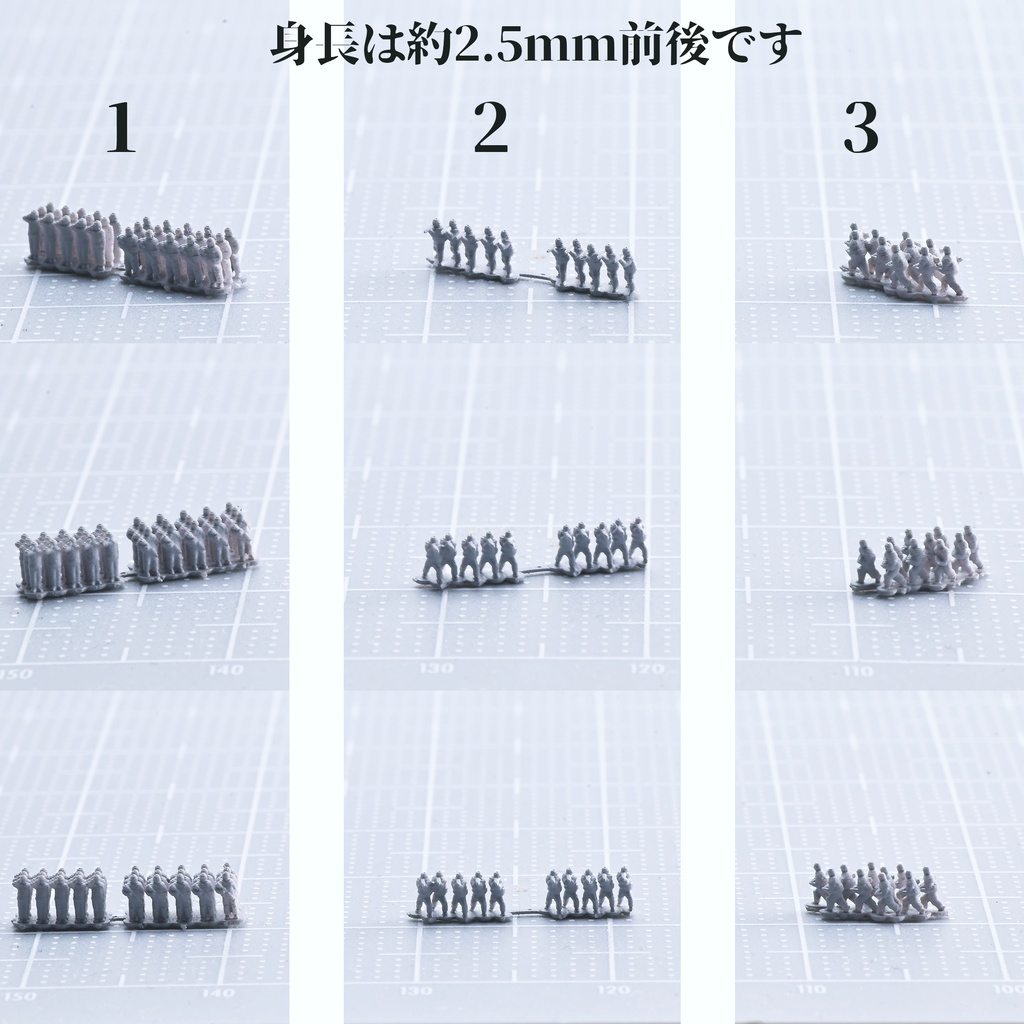 1/700群衆 / 陸上自衛隊普通科