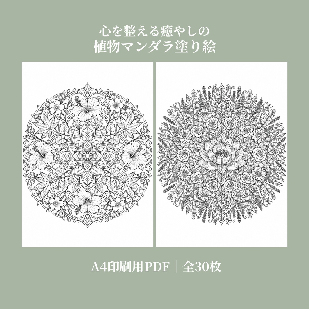 【大人の癒やし時間】植物マンダラ塗り絵30枚セット｜中級・上級｜A4印刷用PDF