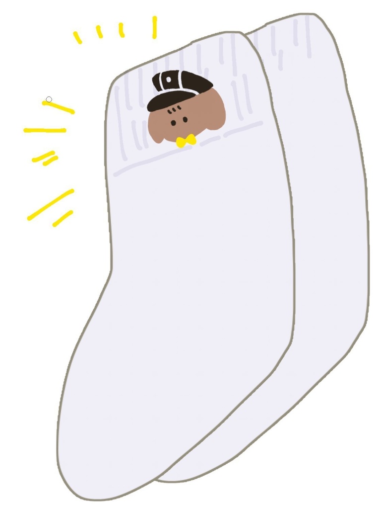 まえだいぬ刺繍靴下