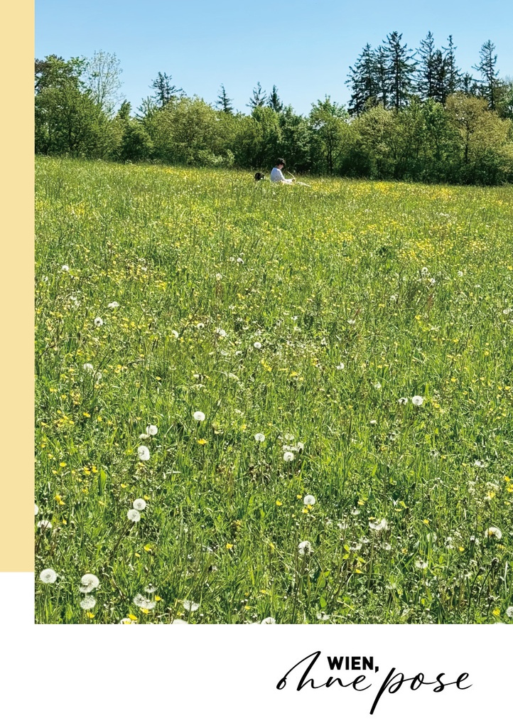 wien, ohne pose -frühling-
