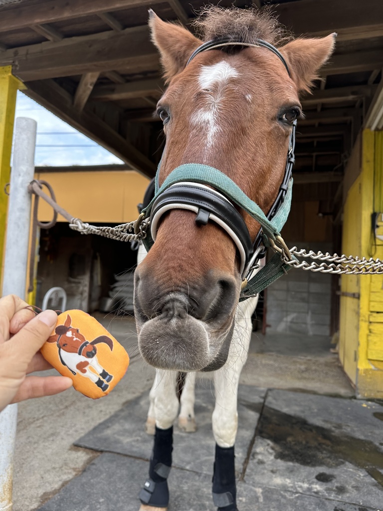チビスケ&シロちゃんクッションストラップ