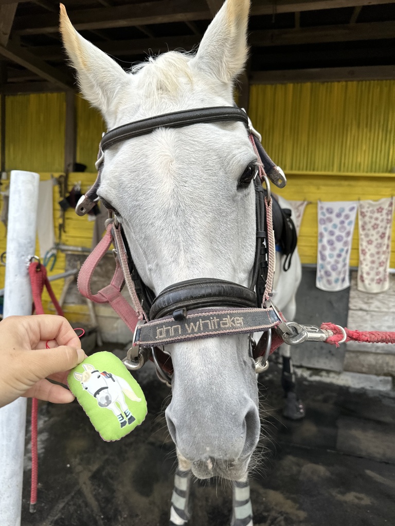 チビスケ&シロちゃんクッションストラップ