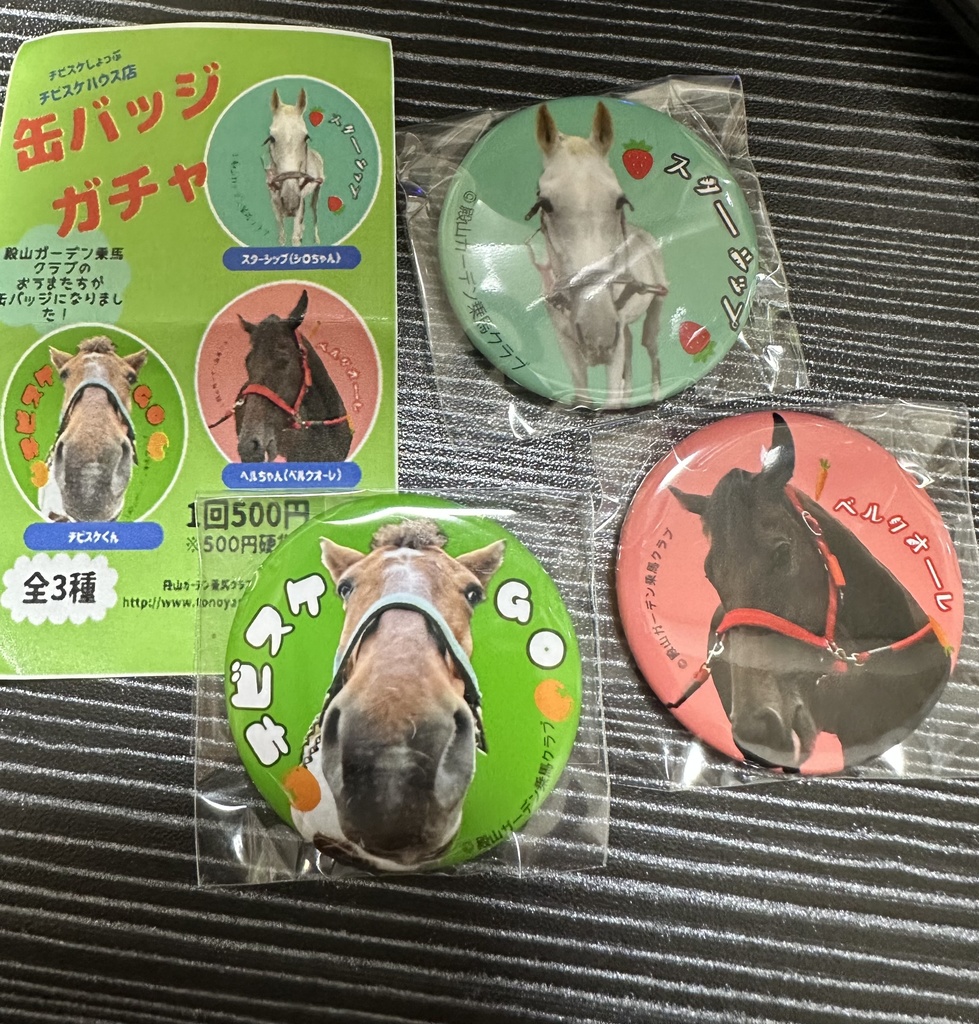 缶バッジガチャシリーズ第一弾コンプセット
