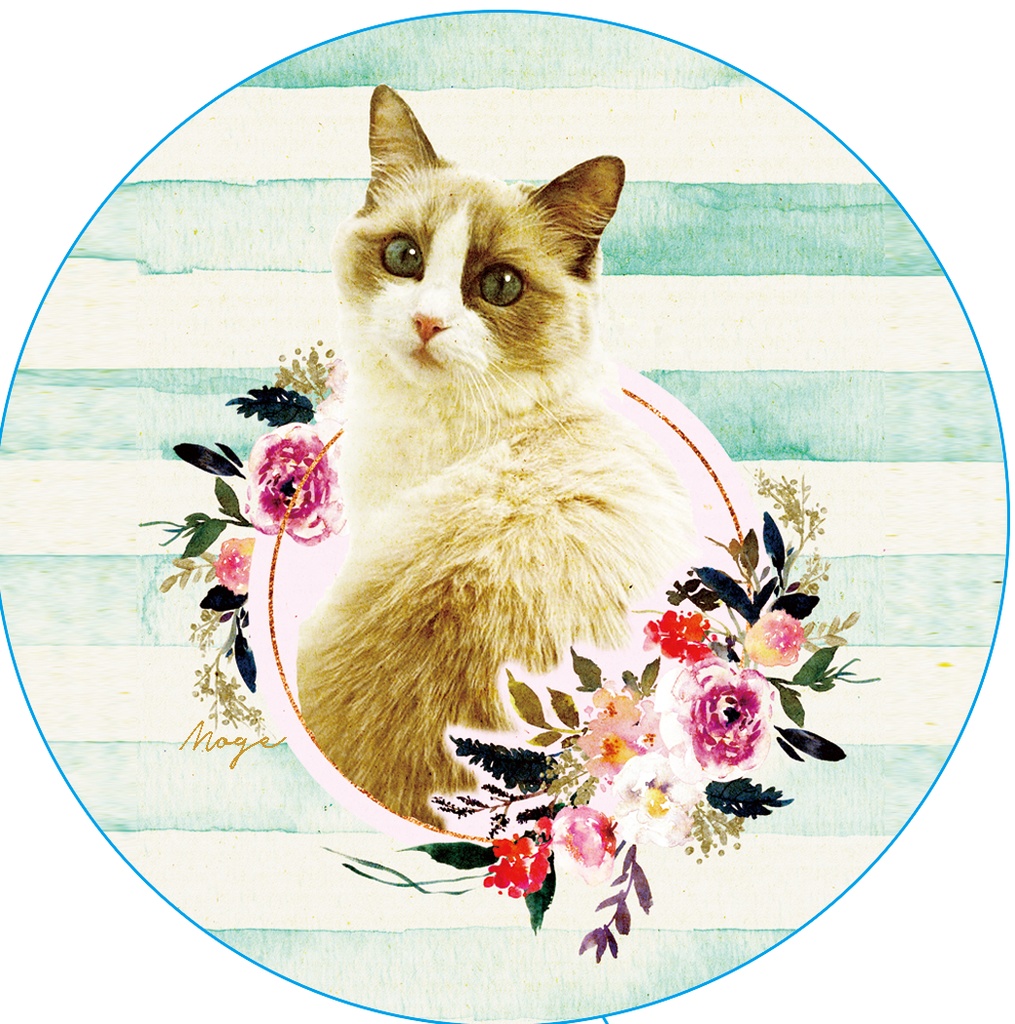 ウルトラミラクルスーパーおきゃわゆミラー