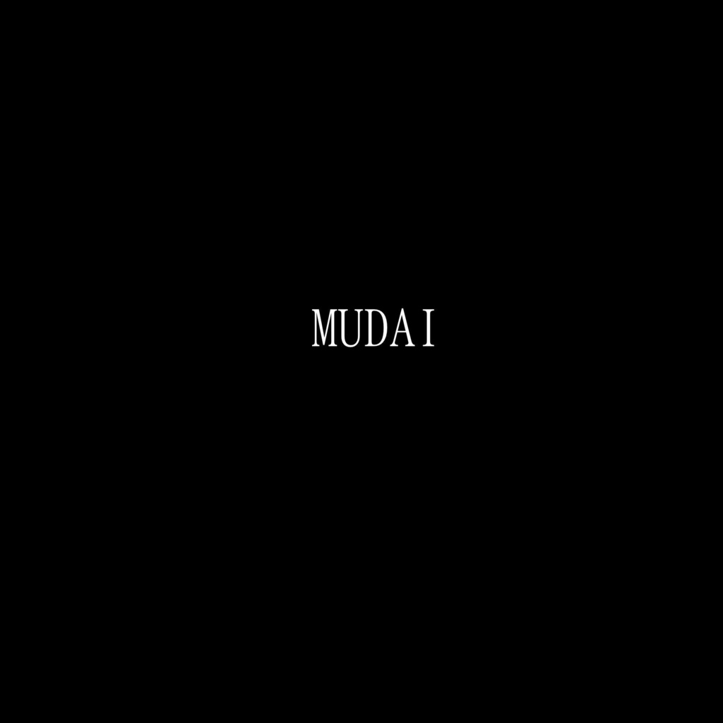 『MUDAI』 イラスト本