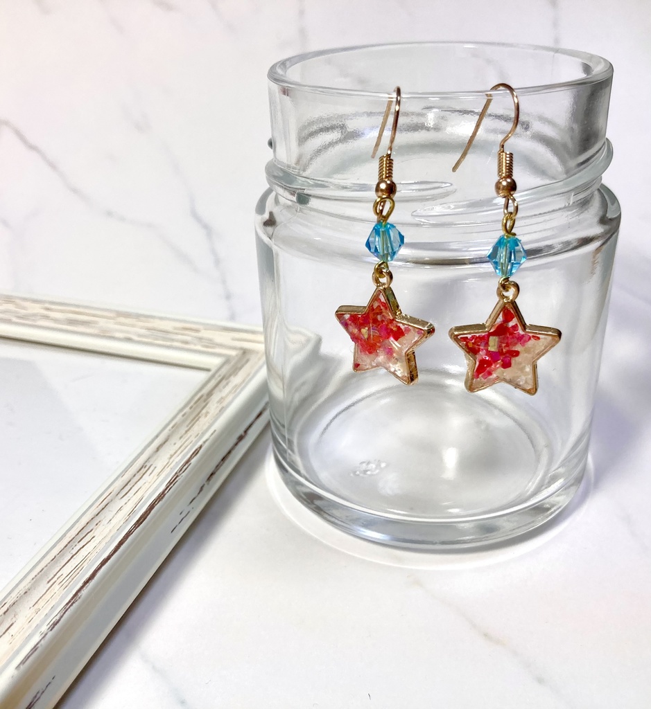  色違いガラルジグザグマ イメージピアス