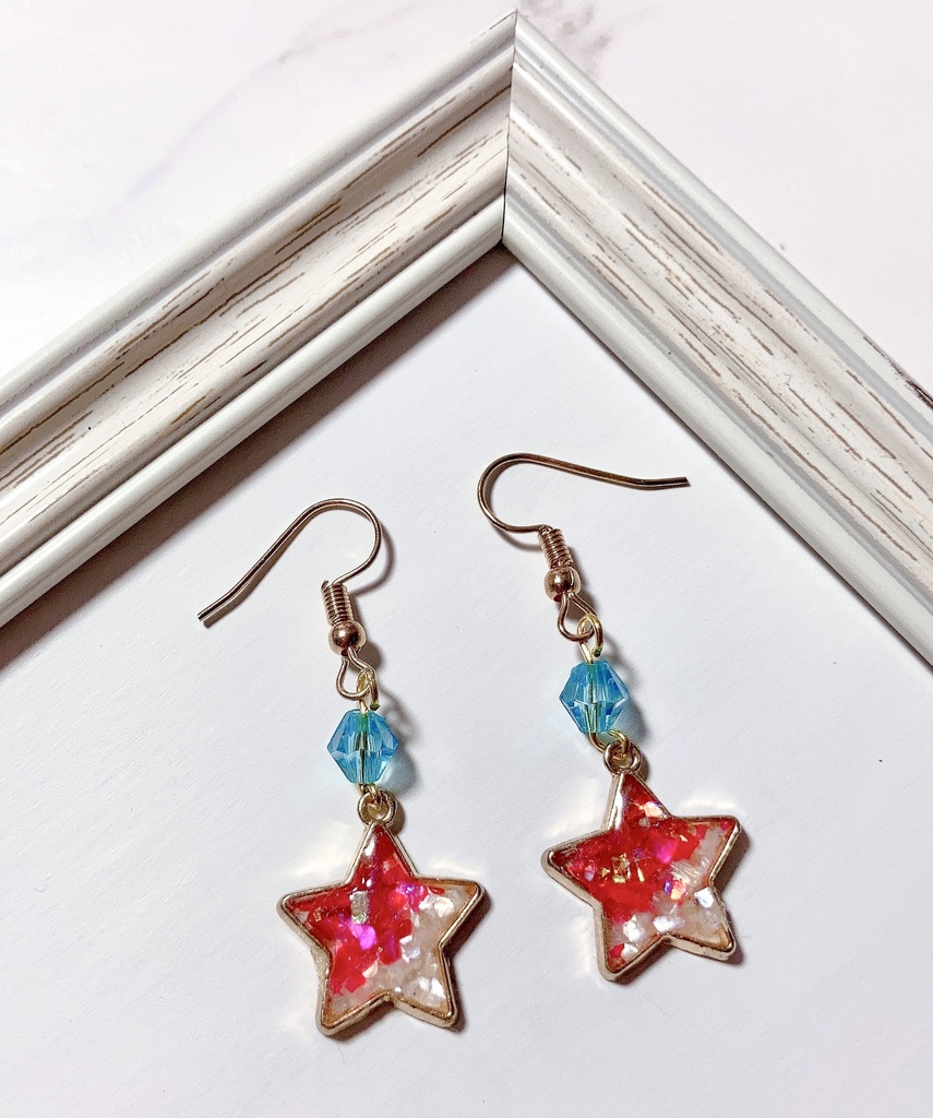 色違いガラルジグザグマ イメージピアス