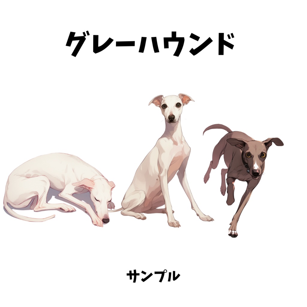 【透過素材】ワンちゃん(イタリアン・グレーハウンド、ポメラニアン、チワワ、トイプードル、シベリアンハスキー、ダックスフンド、ブルドッグ、ボーダーコリー、シェパード、ゴールデンレトリーバー、サモエド、柴犬【100枚】