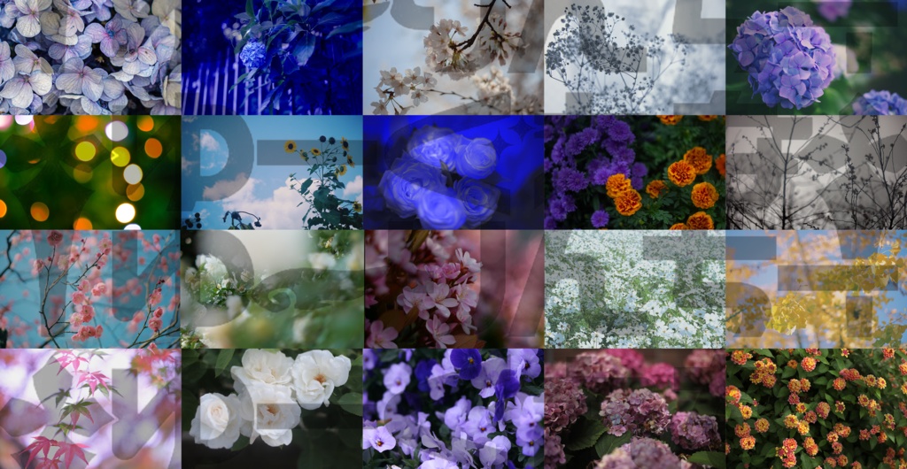お花素材写真集