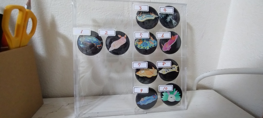 ウミウシ缶バッジ