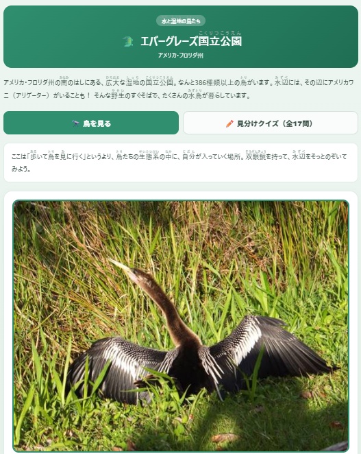 鳥ずかんHOT|アメリカ国立公園の野鳥図鑑+自由研究ポスターキット【小学生の自由研究】