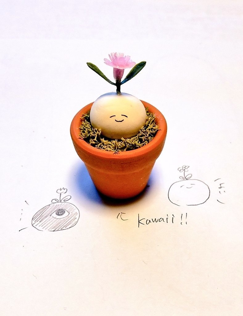 【再販】らいすの植木鉢