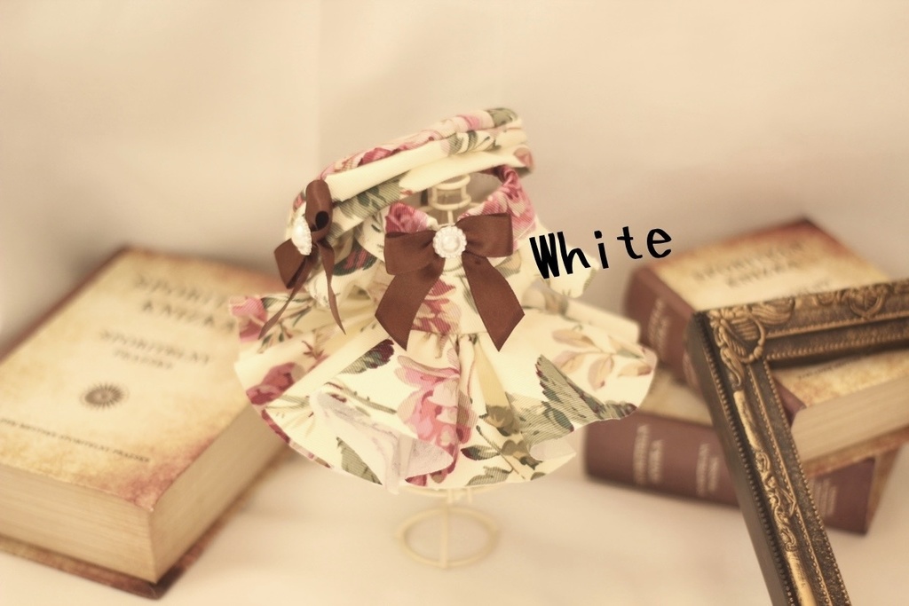 ❁⃘*.゚winter classical dress❁⃘*.゚