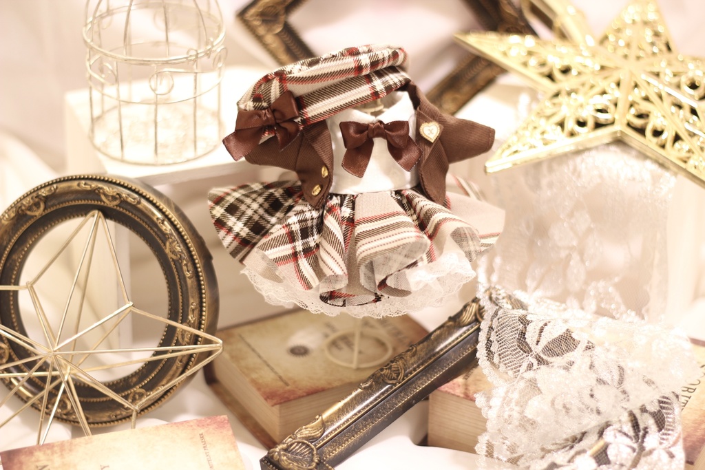 ❁⃘*.゚autumn school style❁⃘*.゚