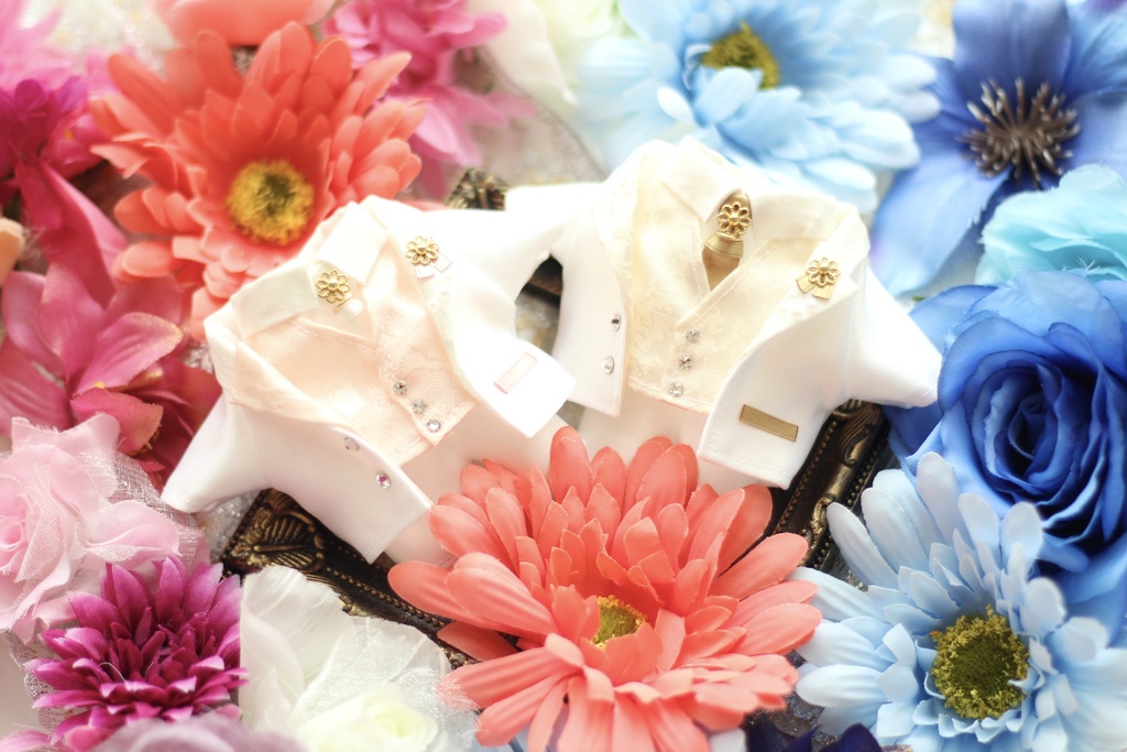 ❁⃘*.゚White Celebration suit ❁⃘*.゚ 【6/20までのご注文で6月中お届け予定】