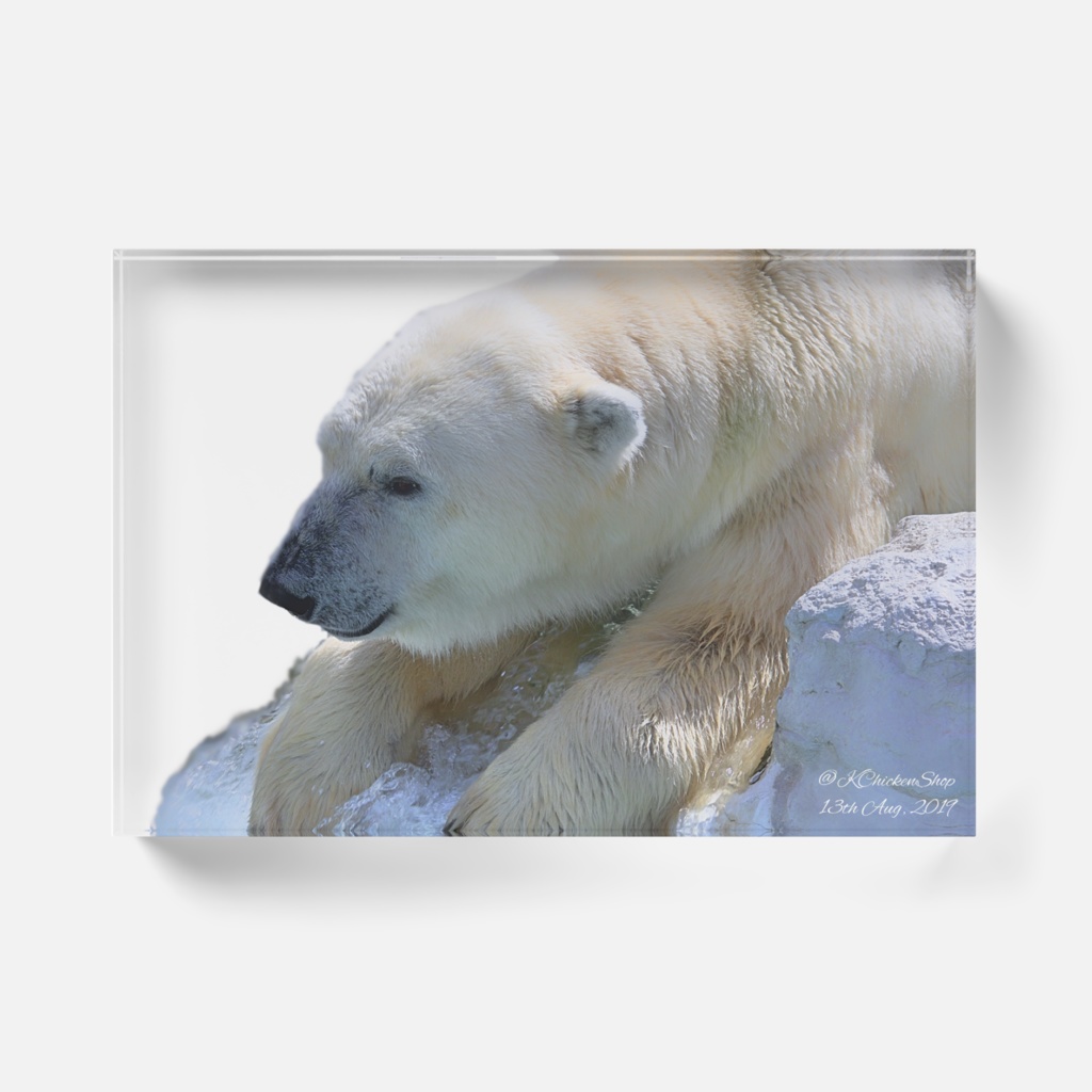 涼しくなれるシロクマアクリルスタンド