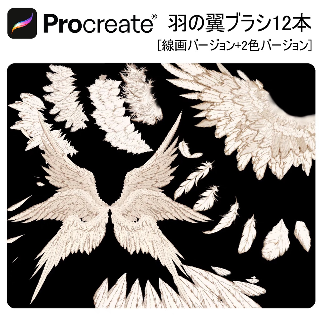 羽の翼ブラシ12本 【iPad Procreate用】