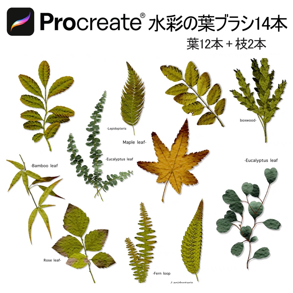 水彩の葉ブラシ14本 【iPad Procreate用】