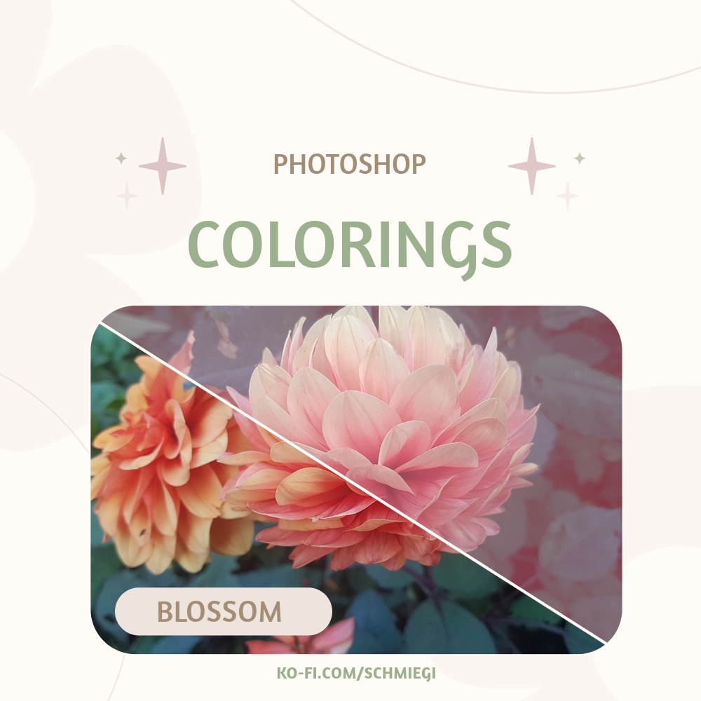 [Free Download] Blossom - Photoshop Coloring